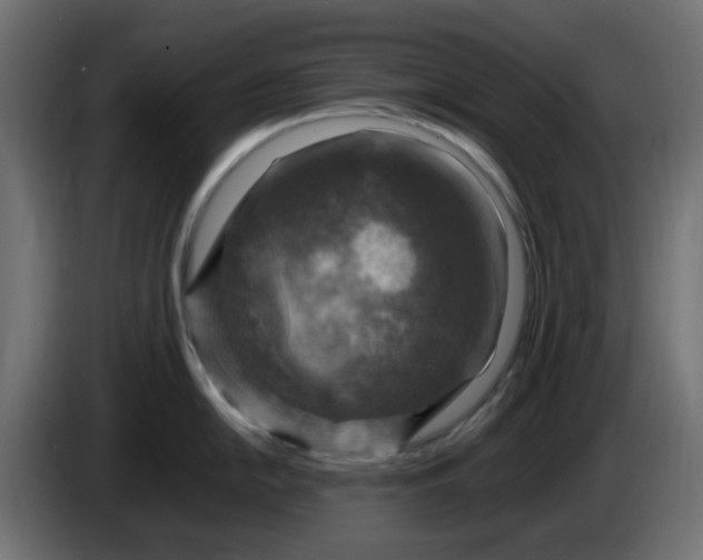 X0000083561054200703021713