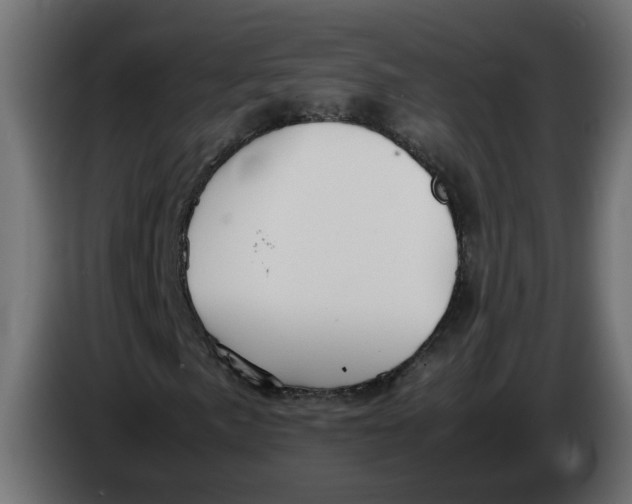 X0000083561057200703021712