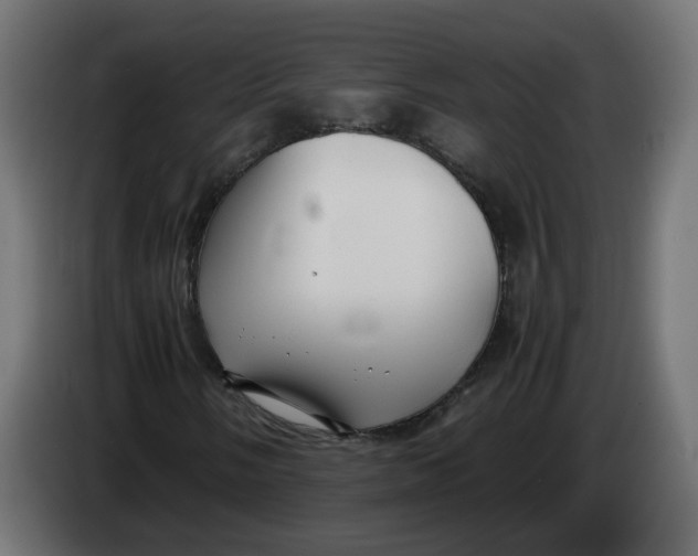 X0000083561058200703021712