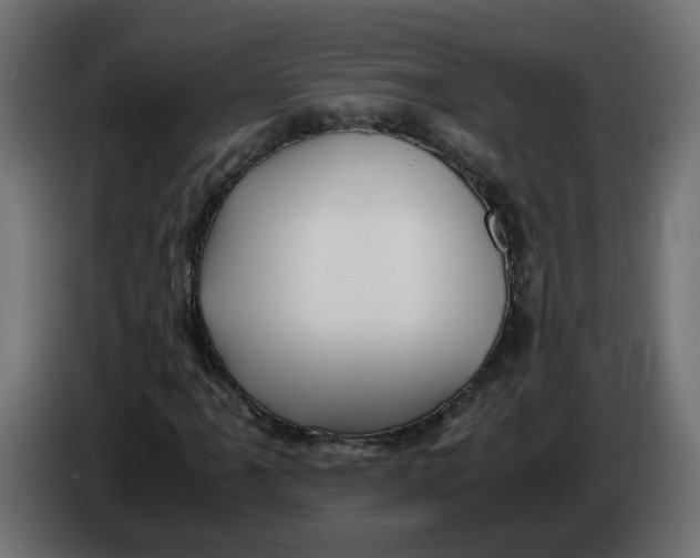 X0000083561061200703021712