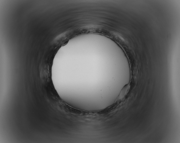 X0000083561062200703021712