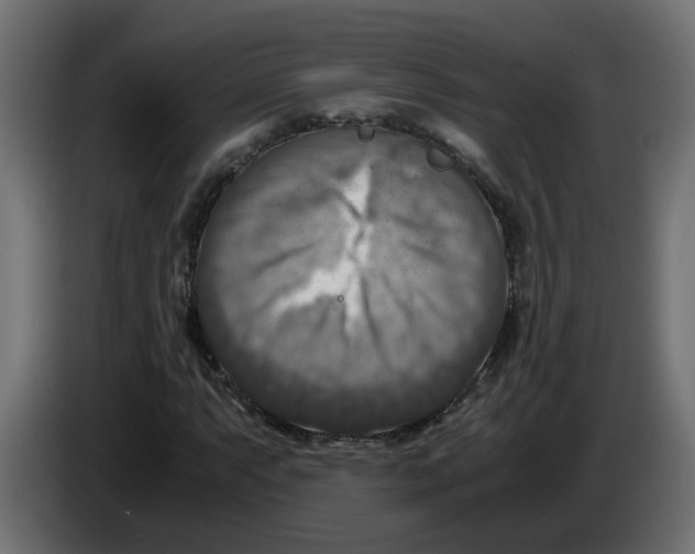 X0000083561063200703021712