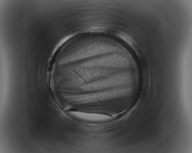 X0000083561066200703021712