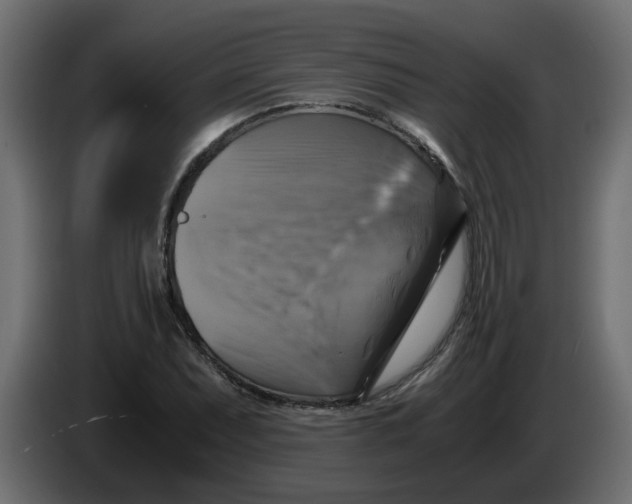 X0000083561071200703021712