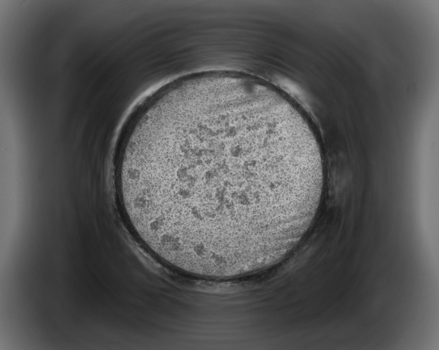 X0000083561072200703021712