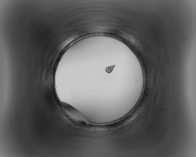 X0000083561073200703021712