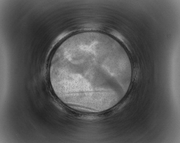 X0000083561074200703021712