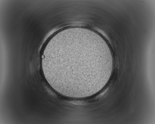 X0000083561075200703021712