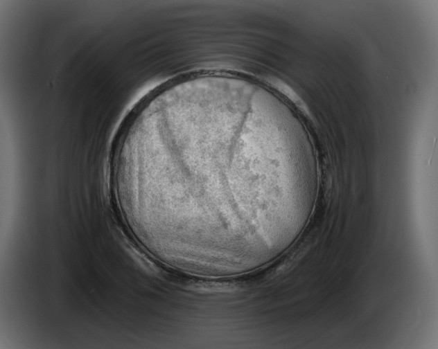 X0000083561076200703021712