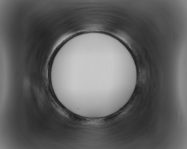 X0000083561078200703021712