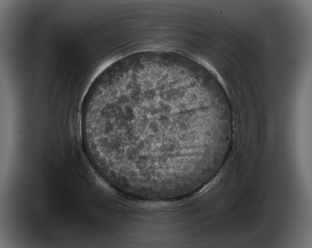 X0000083561079200703021712