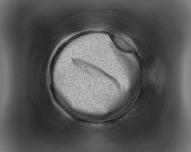 X0000083561080200703021712