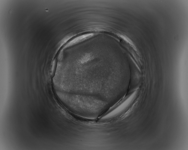 X0000083561081200703021712