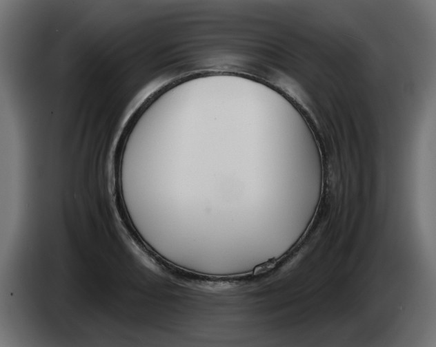 X0000083561082200703021712