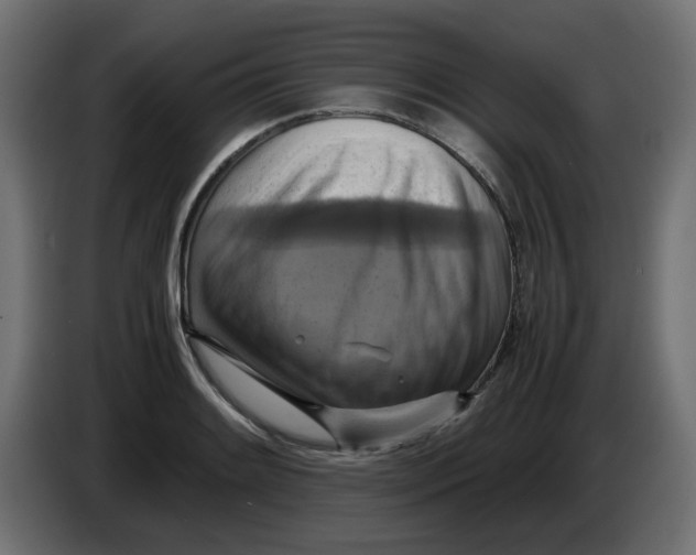 X0000083561084200703021712