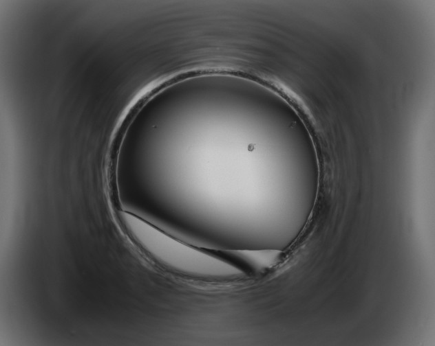 X0000083561085200703021712