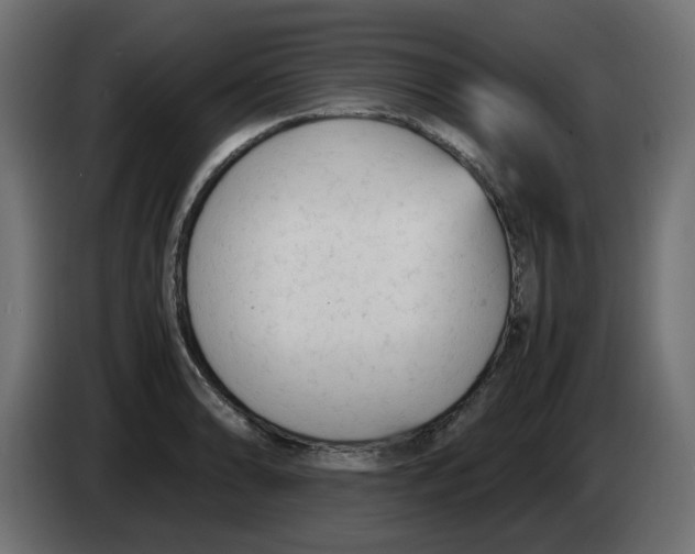 X0000083561086200703021712