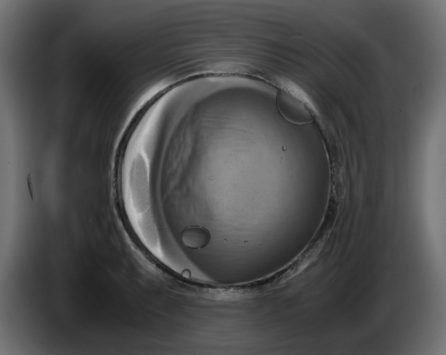 X0000083561087200703021712