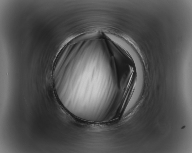 X0000083561089200703021712