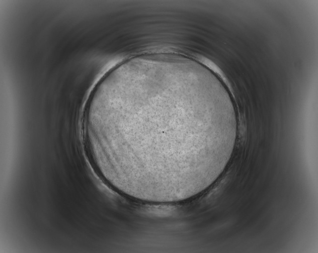 X0000083561090200703021712