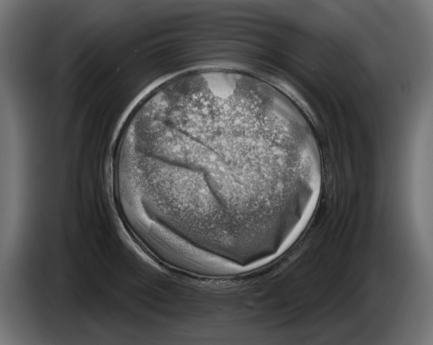 X0000083561092200703021712