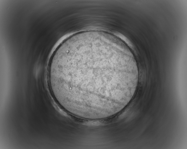 X0000083561094200703021712