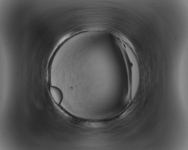 X0000083561095200703021712