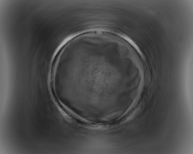 X0000083561101200703021711