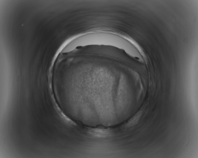 X0000083561102200703021711