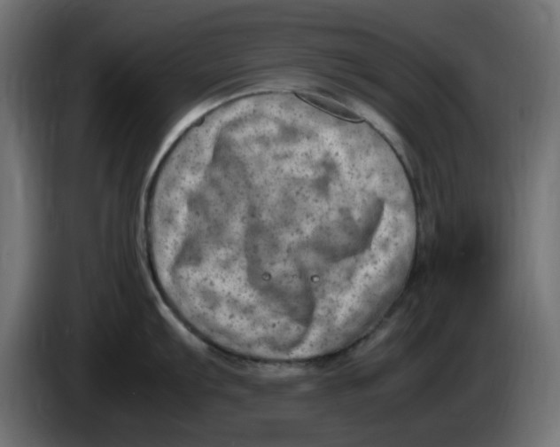 X0000083561103200703021711