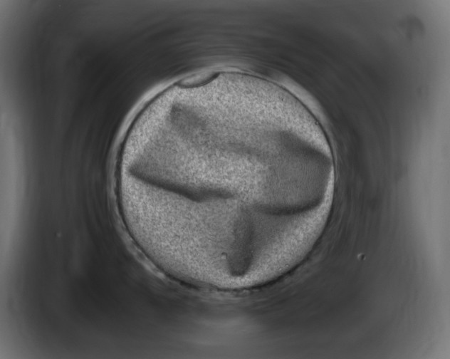 X0000083561104200703021711