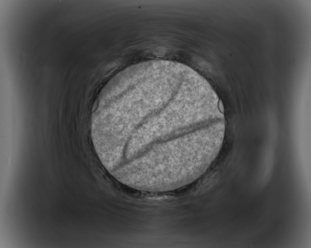 X0000083561105200703021711