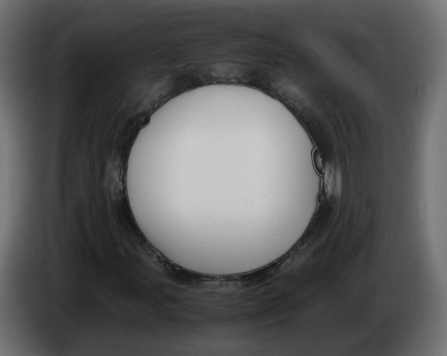 X0000083561107200703021711