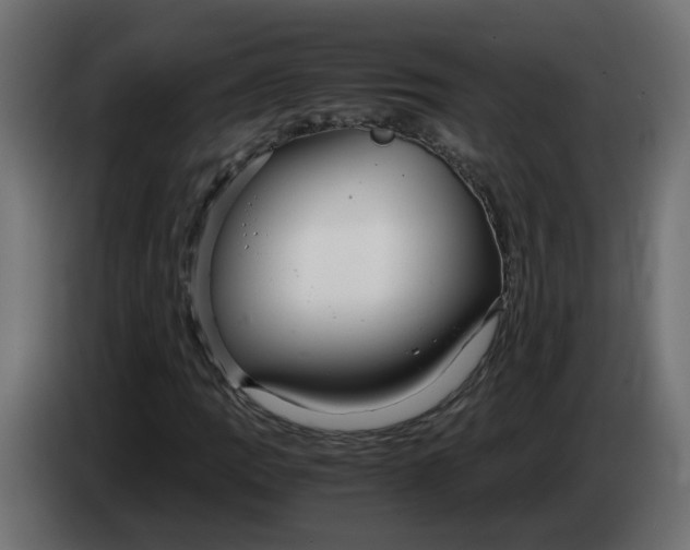 X0000083561109200703021711