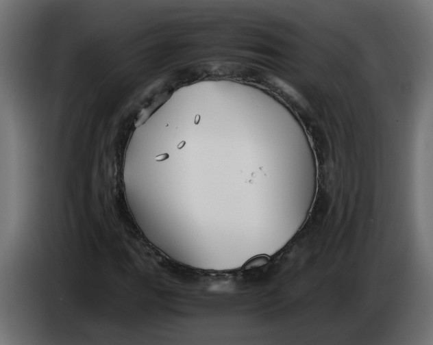 X0000083561111200703021711