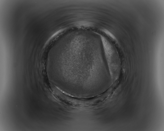 X0000083561112200703021711