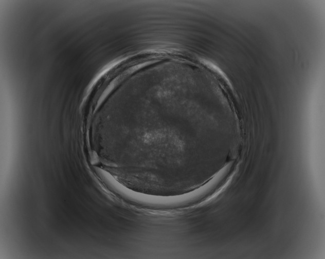 X0000083561114200703021711