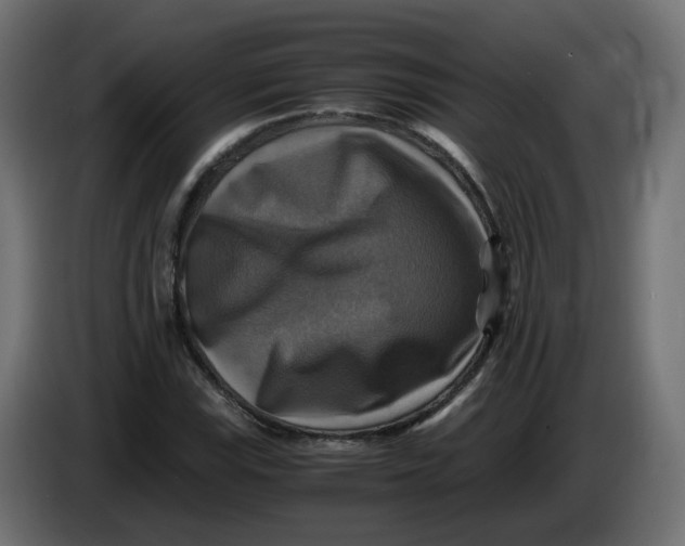 X0000083561115200703021711