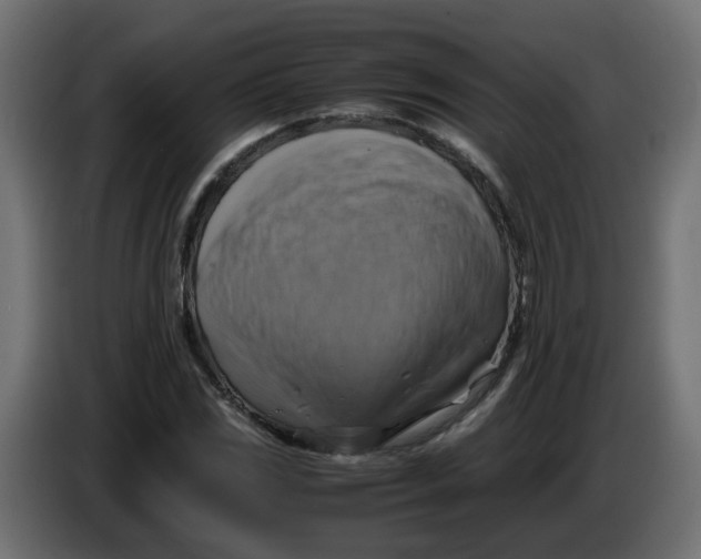 X0000083561117200703021711