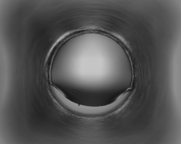 X0000083561118200703021711