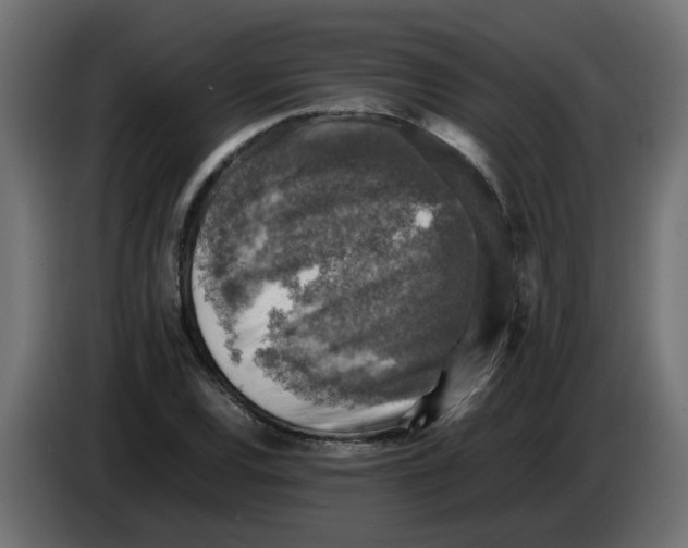 X0000083561120200703021711