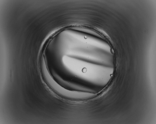 X0000083561122200703021711