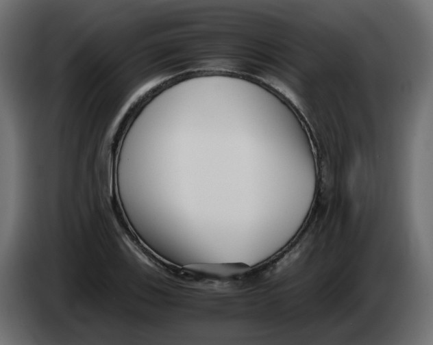 X0000083561123200703021711