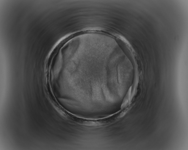 X0000083561124200703021711