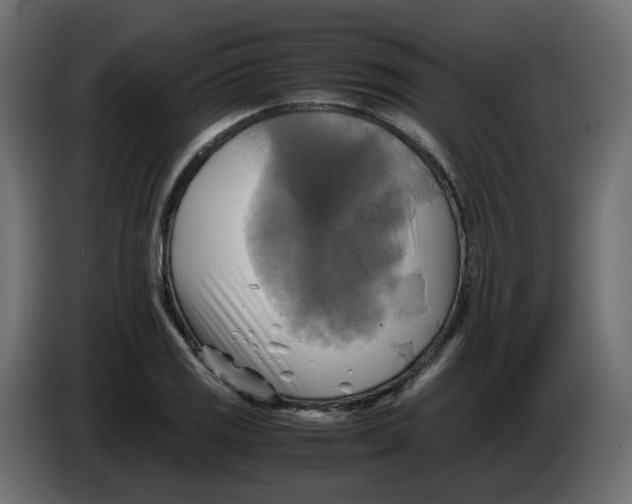 X0000083561125200703021711