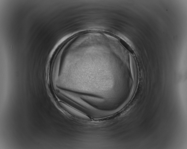 X0000083561128200703021711