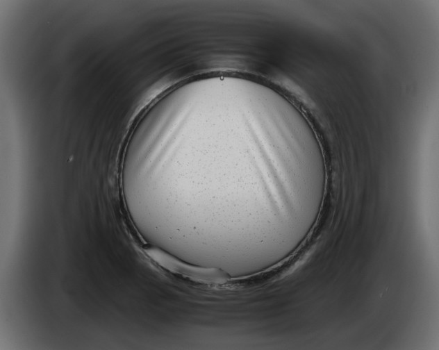 X0000083561129200703021711