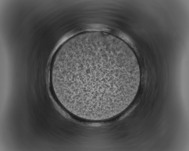 X0000083561130200703021711