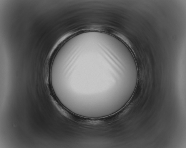 X0000083561131200703021711