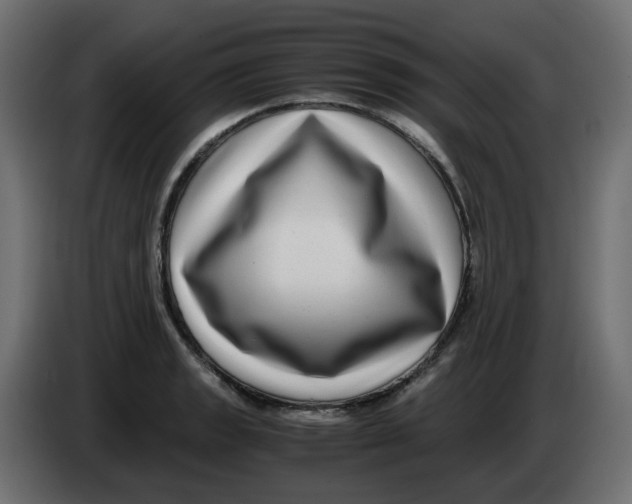 X0000083561133200703021711